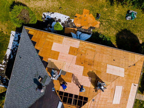Best Roofing Contractor Near Me  in Churubusco, IN