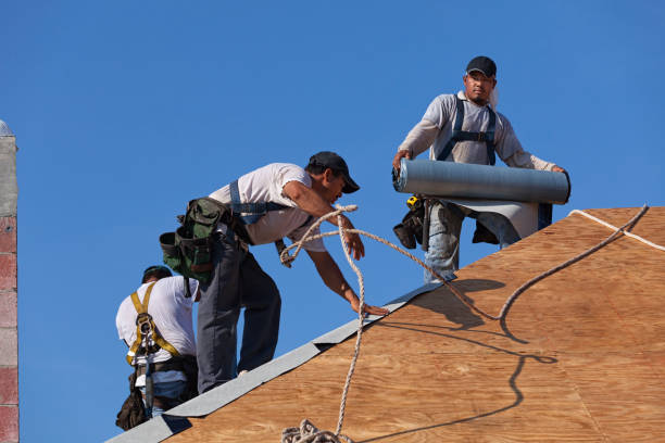 Best Roof Waterproofing Services  in Churubusco, IN